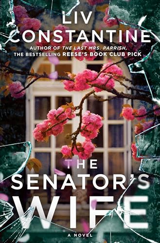 The Senator's Wife: A Novel von Bantam